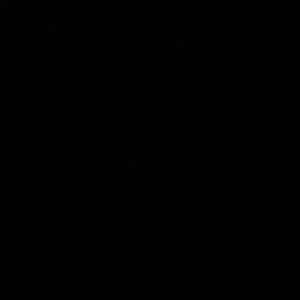 Meet your Posher, Ayelet